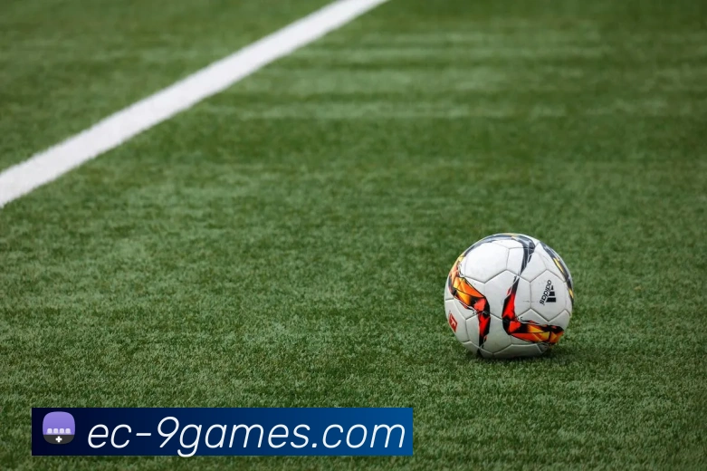 9九游会官网APP 封面图